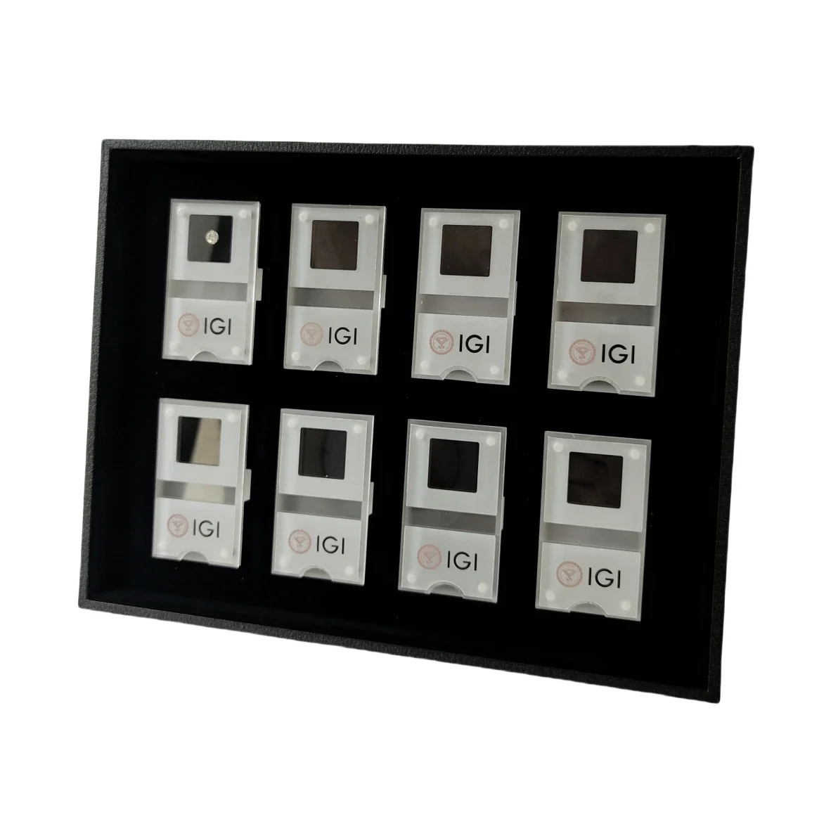 GIA Loose Diamond Storage Disp - Exhibition Caseback review and price