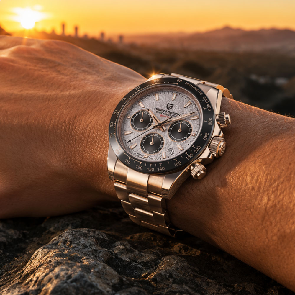 Top Brand PAGANI DESIGN Luxury - Luxury Watch Men review and price