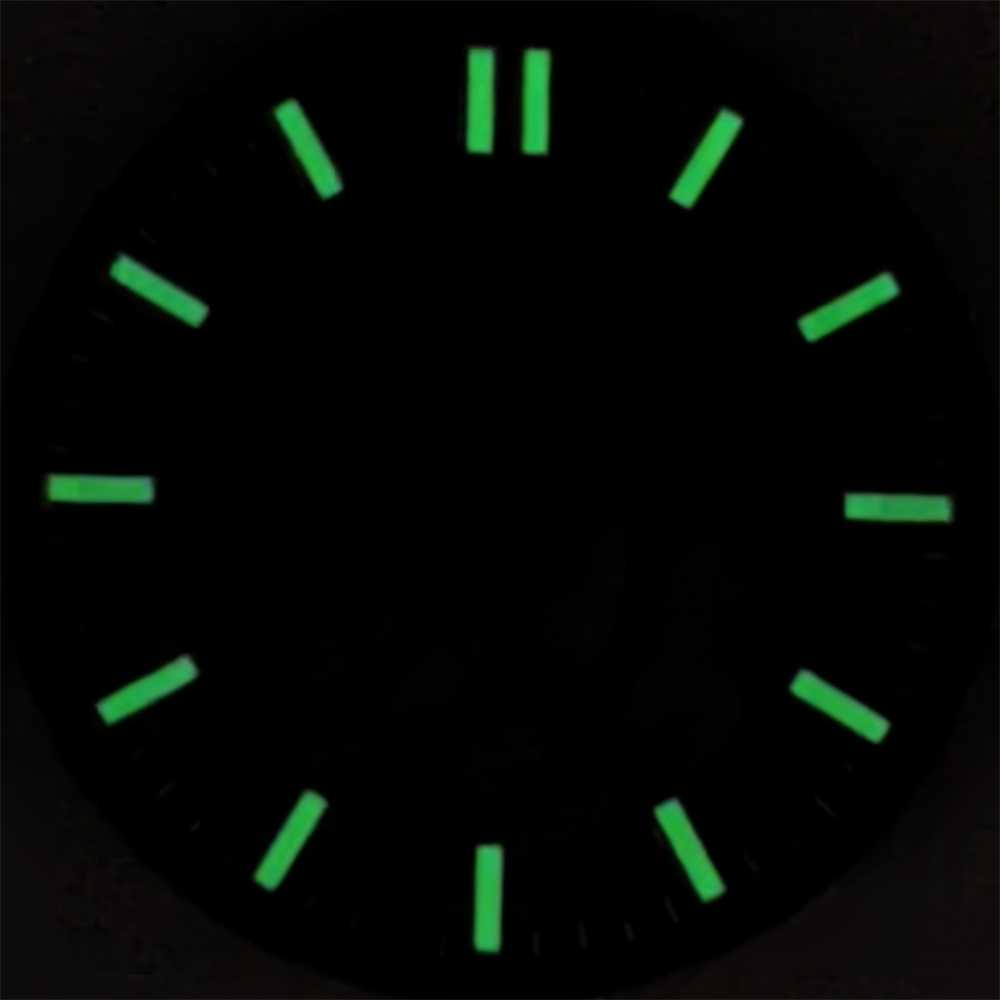 NH70 NH72 29mm Black White Gre - Exhibition Caseback review and price